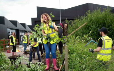 Northwich BID helps make the town greener and cleaner